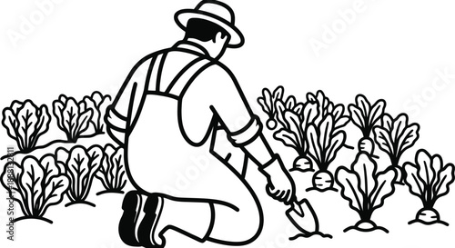 Gardener tending to organic vegetable garden patch vector