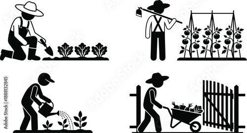 Gardener tending to organic vegetable garden patch vector