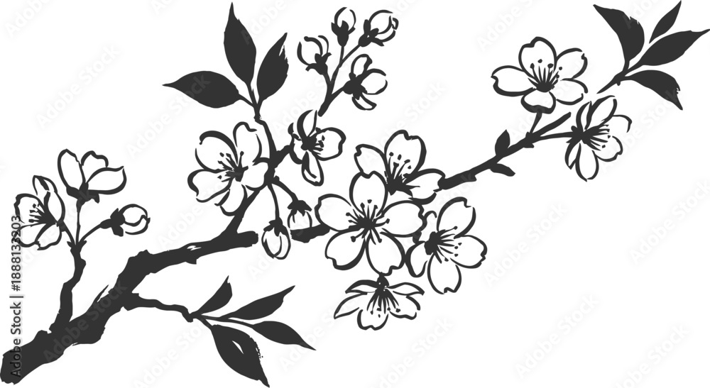 Fototapeta premium Cherry blossom branch with pink flowers isolated vector