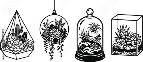 Succulent terrarium vector with green plants in glass container