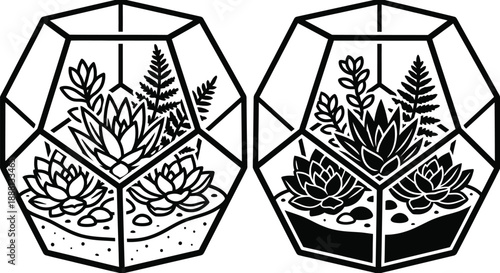 Succulent terrarium vector with green plants in glass container