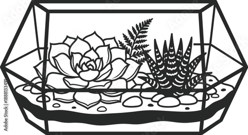 Succulent terrarium vector with green plants in glass container