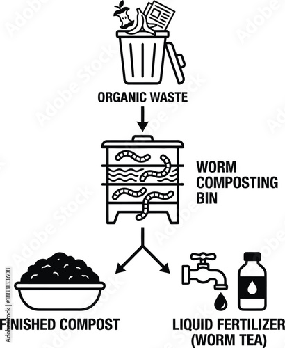 Worm composting process infographic showing organic waste recycling steps
