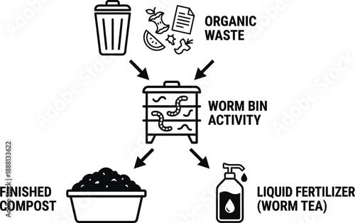 Worm composting process infographic showing organic waste recycling steps