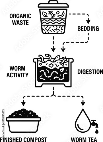 Worm composting process infographic showing organic waste recycling steps