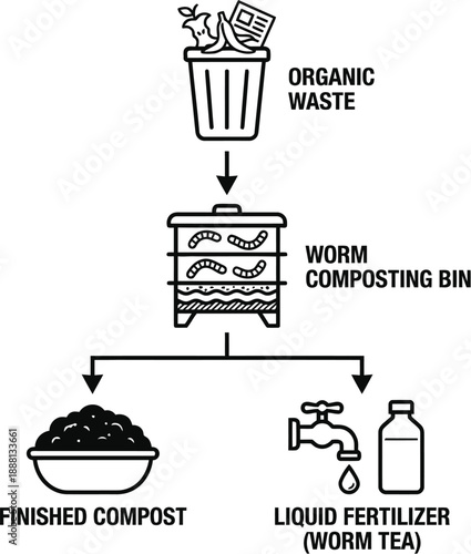Worm composting process infographic showing organic waste recycling steps