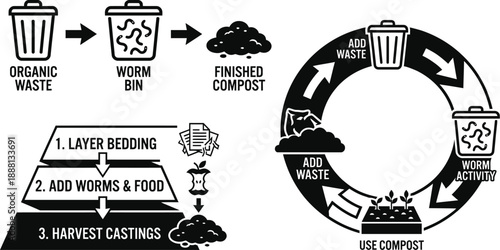 Worm composting process infographic showing organic waste recycling steps