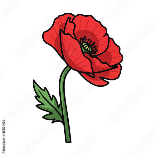 Poppy Flower Stem with Leaf