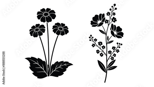 A striking black and white illustration displaying delicate floral arrangements with leaves and stems beautifully detailed
