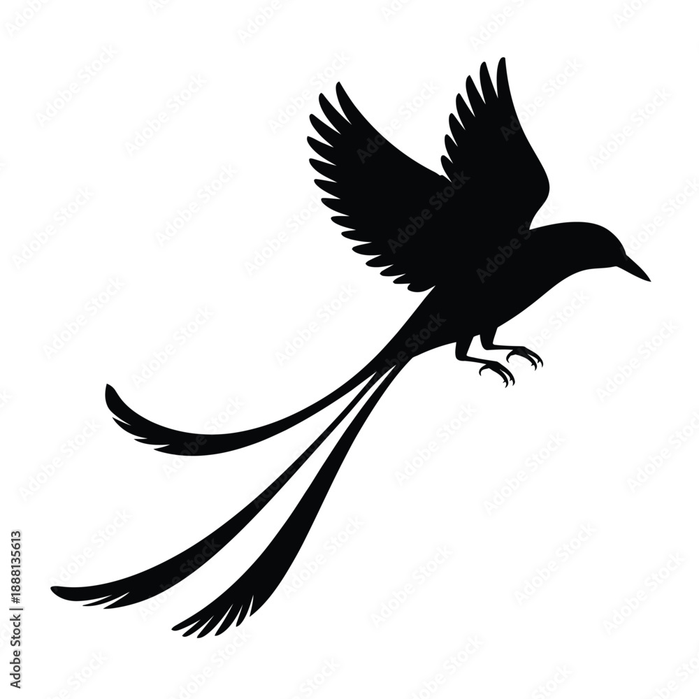 Fototapeta premium A sleek black silhouette of a bird with an elongated tail in flight