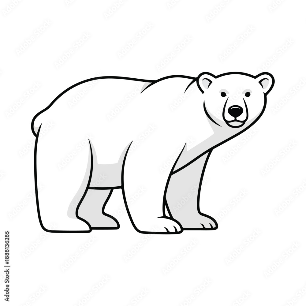 Fototapeta premium Polar Bear Illustration