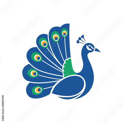 Peacock with Spread Tail Displaying Bright Colors