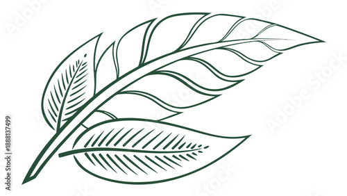 Detailed drawing of a single feather resting beside a smaller leaf, rendered in crisp green outline representing lightness.