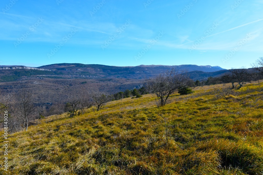 Fototapeta premium View of Čičarija mountain range and meadow with trees in Primorska, Slovenia