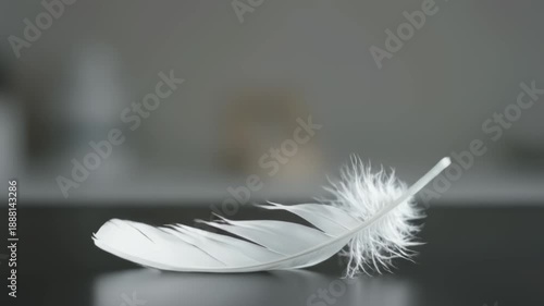 White feather on dark reflective surface, highlighting delicate structure, fluffy texture. Elegant white feather symbolizes purity, peace, and lightness for spiritual concepts.