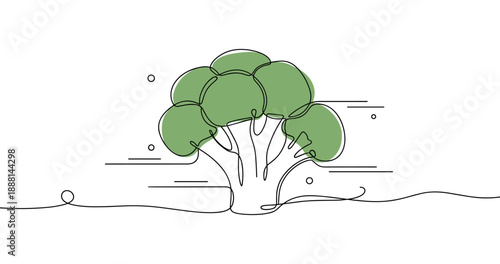 Minimalist line drawing of fresh broccoli with green florets on white background. Non editable stroke