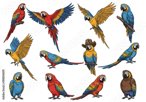 Colorful macaw parrots collection with vibrant red, blue, and yellow feathers in various poses including flying, perched, and standing isolated on white background