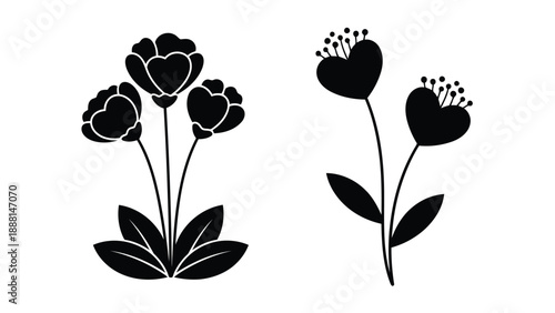 A simple black and white illustration depicts several tulip flowers with stems and leaves showcasing botanical elegance