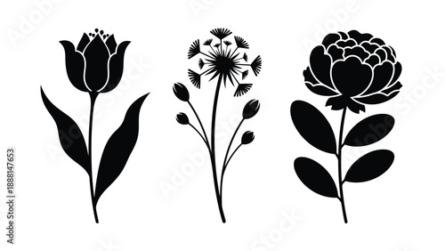 Elegant black silhouettes of a tulip dandelion and peony showcase botanical artistry and graceful floral forms