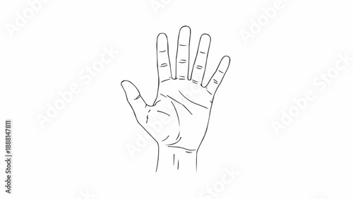 Line drawing of a human hand showing five fingers and palm lines.