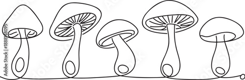 a-minimalist-black-and-white-line-drawin__I4iJXXfSoShEI4VEcBoCA_joI8KGhYRZO7yXeVLpEAyA_traced