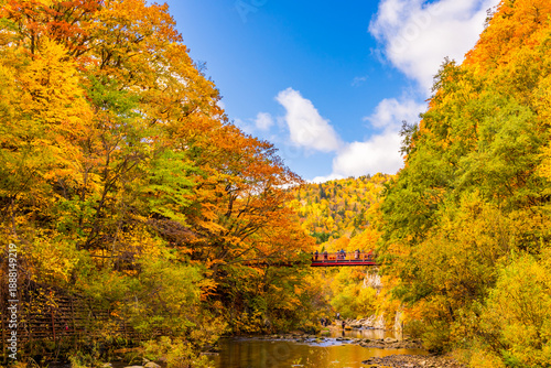 Fotografía The spectacular view of The red Futami Suspension Bridge over Toyohira River wit