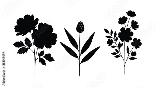 Silhouettes of floral elements including a rose tulip and delicate flowering stem are presented in black