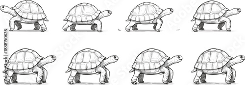 Hand Drawn Turtle Walking Line Art Vector Set Showing Side View Tortoise Poses for Wildlife Illustration, Educational Graphics, Mascot, and Nature Design Projects
