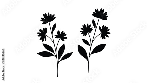 Simple black silhouette illustration showcasing two delicate wildflower stems with leaves and blooming flowers high quality