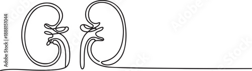 a-minimalist-line-drawing-of-human-kidne_Djw67zhBQOqe6ARV5SJQtA_C9vMab6DQP6Z7ePUFWr14w_traced