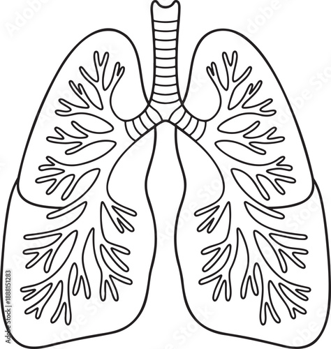 a-black-and-white-line-drawing-of-human-_xggpOB9aR_yyHuDpNTYv9w_iKRp9t5nQ66-r8yVg18qFA_traced