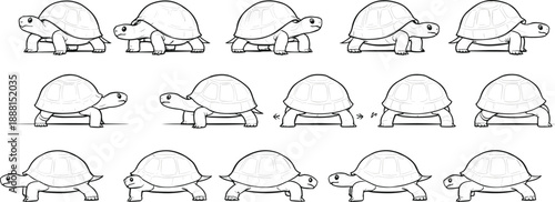 Hand Drawn Turtle Line Art Vector Set Featuring Multiple Walking and Standing Poses for Nature, Wildlife, Educational, and Illustration Projects