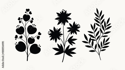 Detailed botanical silhouettes of three distinct plant species showcasing nature s elegance and organic forms