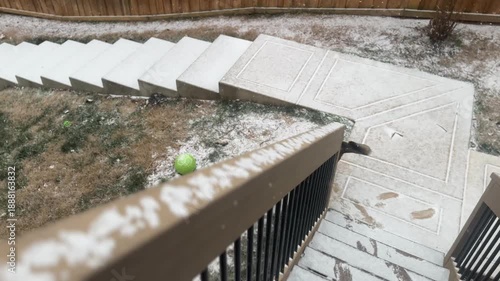 Winter storm brings heavy snow for german shepherd dog to play in