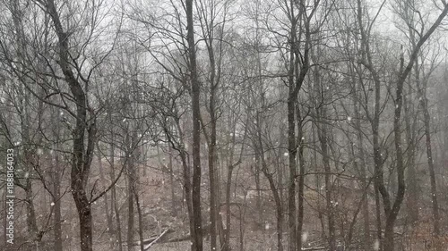 Winter storm brings heavy snow to local area creating a winter wonderland with difficult traveling conditions