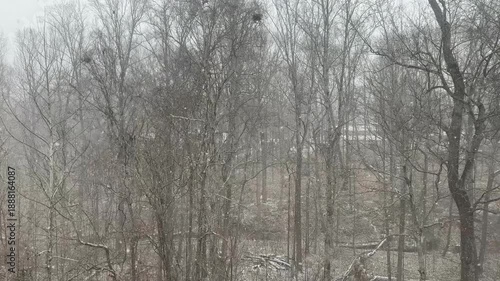 Winter storm brings heavy snow and low visibility to countryside and trees during snowmageddon event