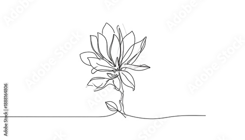 Minimalist line art rendering of a flowering plant on a stark white background