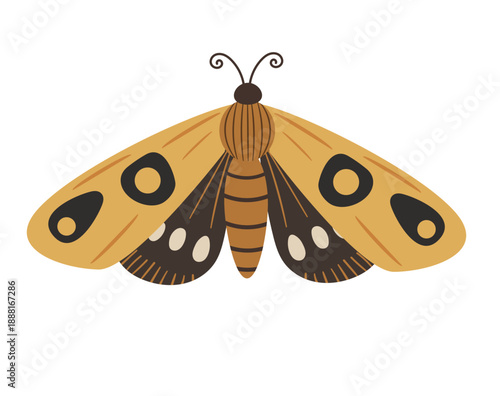 Minimalist Boho moth Design
