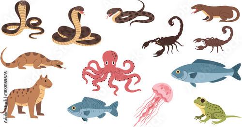 Dangerous Animals and Sea Creatures Cartoon Illustration Set Featuring Snakes, Scorpions, Octopus, Fish, Jellyfish, Frog, and Wild Predators for Education Vector Design