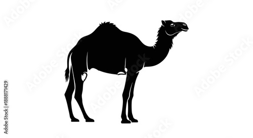A majestic camel standing alone in a serene desert landscape viewed from the side