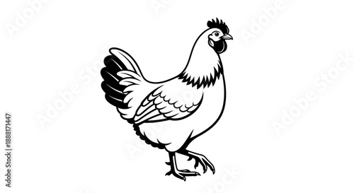 A black and white illustration of a chicken standing on a plain white background