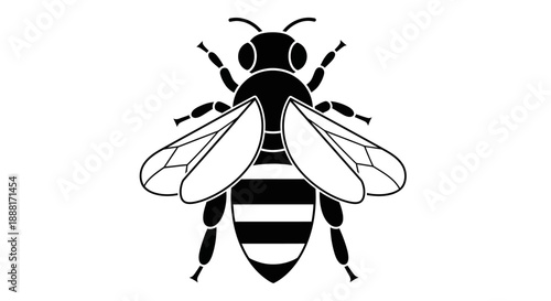 Detailed black and white illustration of a bee with striped body and outstretched wings
