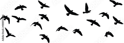 Flying bird silhouettes in motion with dynamic wing positions, symbolizing freedom, migration, nature, and minimalist elegance in vector style.