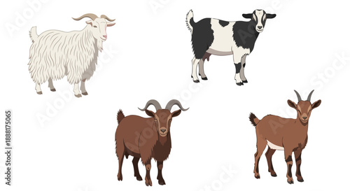 Farm animals goat cow illustration set for agriculture design