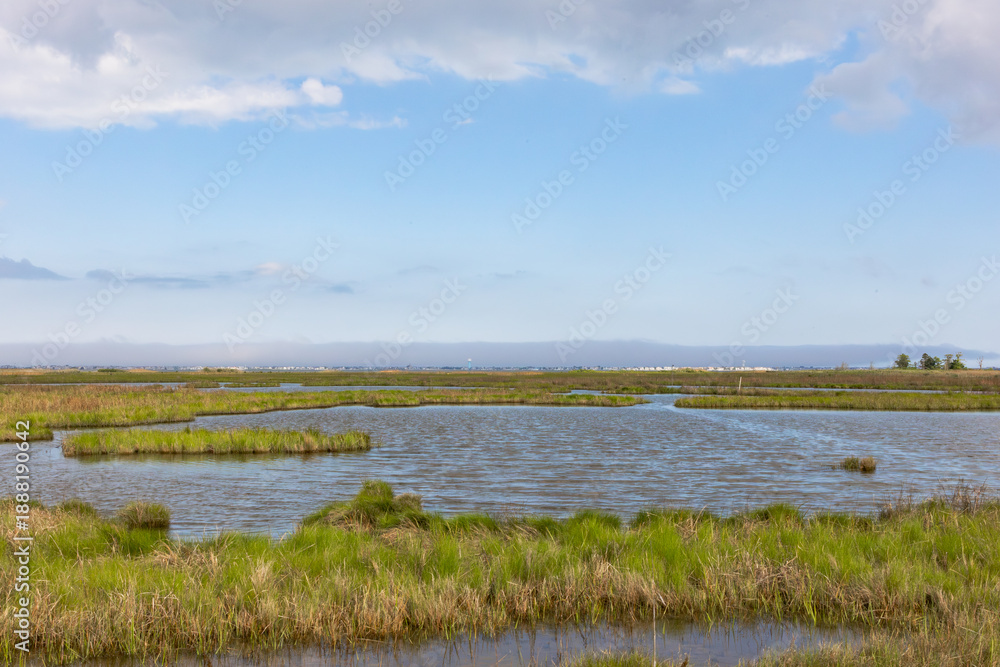 Fototapeta premium Wide Coastal Marsh Landscape Under Blue Sky