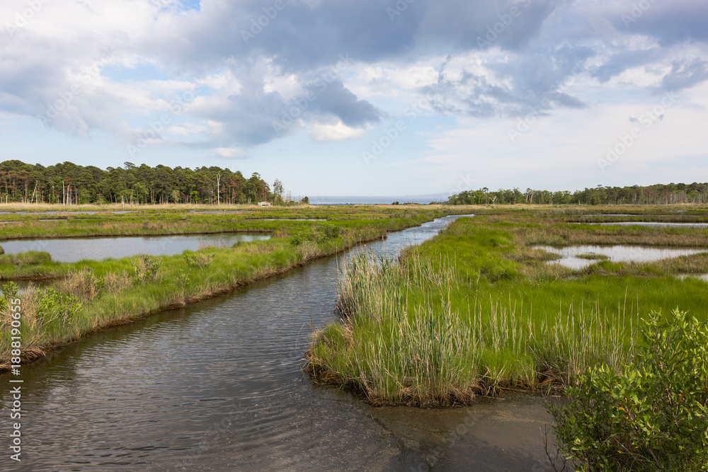 Fototapeta premium Meandering Tidal Creek Through Green Marsh
