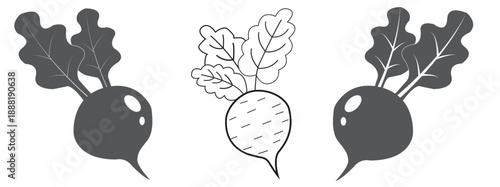 Vegetable and Organic Food Icons