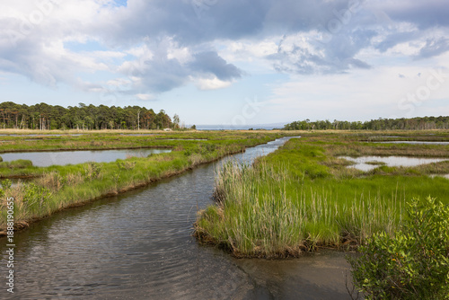 Fotografía Meandering Tidal Creek Through Green Marsh