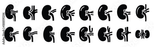 kidney vector icon set multiple style collection. doctor day silhouette medical symbols for healthcare