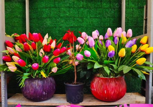 White, red, yellow, multicolored tulips in jars on the shop window for sale